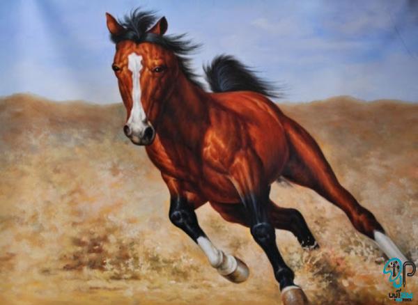 مدرن ترین تابلو رنگ روغن اسب