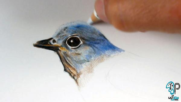 معرفی مدل های تابلو نقاشی پرندگان